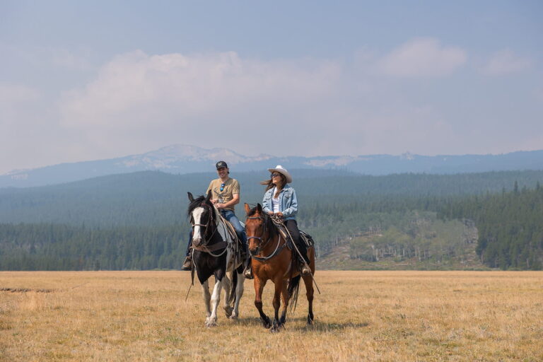 A couple ride horses across a field with an epic mountain backdrop in the Bighorn National Forest in Wyoming during their elopement.