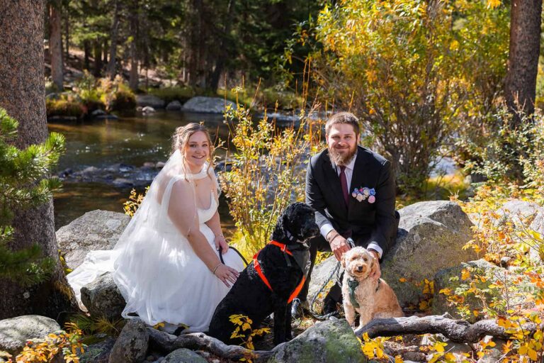 A bride and groom smile at the camera with their two dogs during their dog-friendly elopement in the Wyoming Bighorn National Forest.
