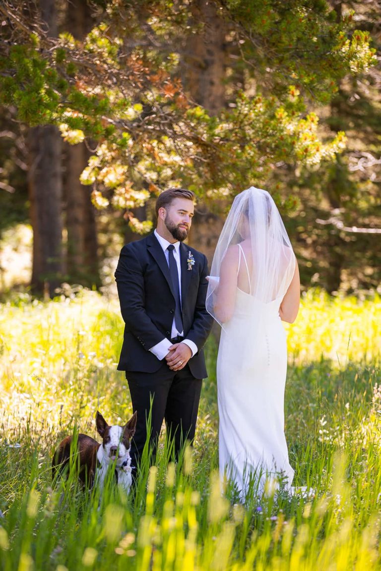 A bride and groom say their private wedding vows in the shade of a tree with their dog by their side during their elopement in the Bighorn National Forest.