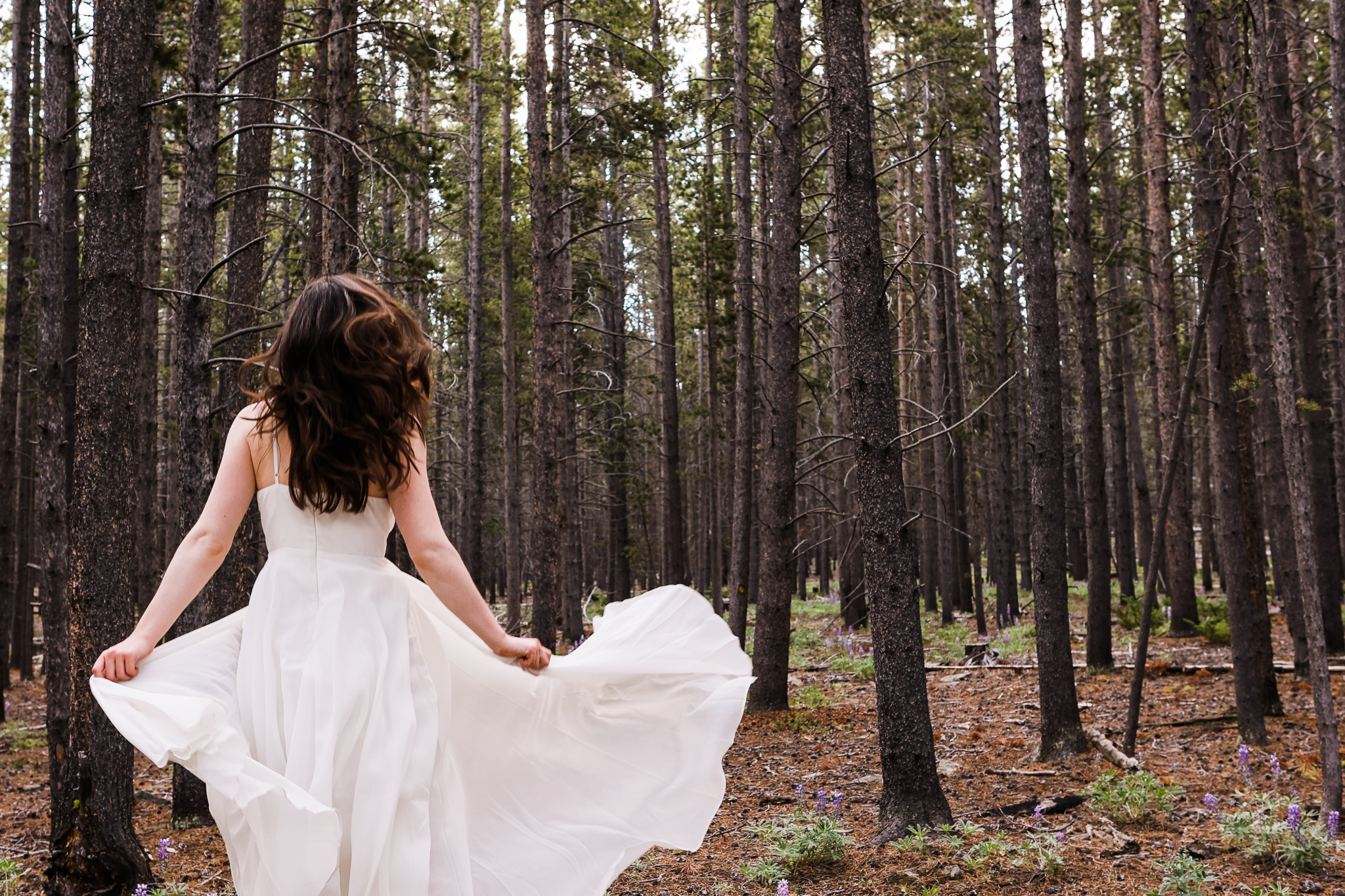 A woman runs through a pine forest in Bighorn National Forest wearing wedding dress.