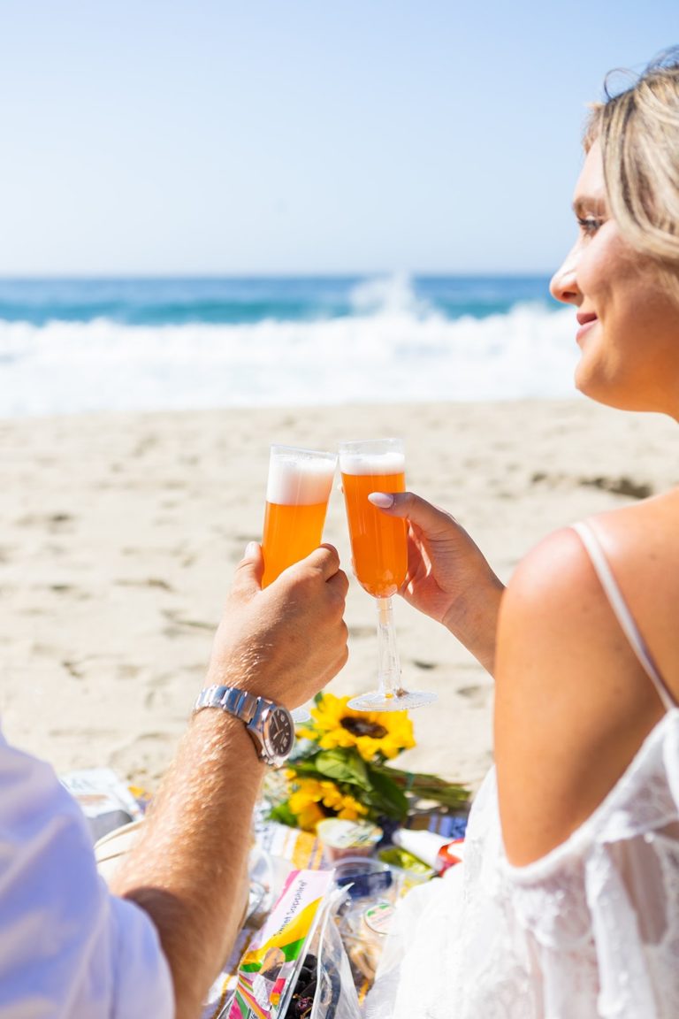 A couple cheers during their Big Sur beach elopement picnic.