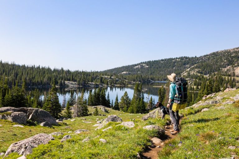 A woman and her dog hike through a meadow during her Bighorn National Forest elopement. Carrying your wedding dress in a hiking backpack is a great alternative to hike in a wedding dress.