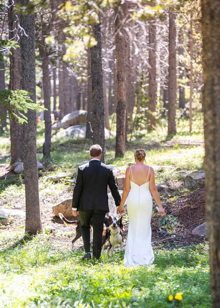 A bride hikes through the forest in her wedding dress with her new groom and dog by her side. The sunshine beams through the trees of the Bighorn National Forest as the couple enjoys their elopement.