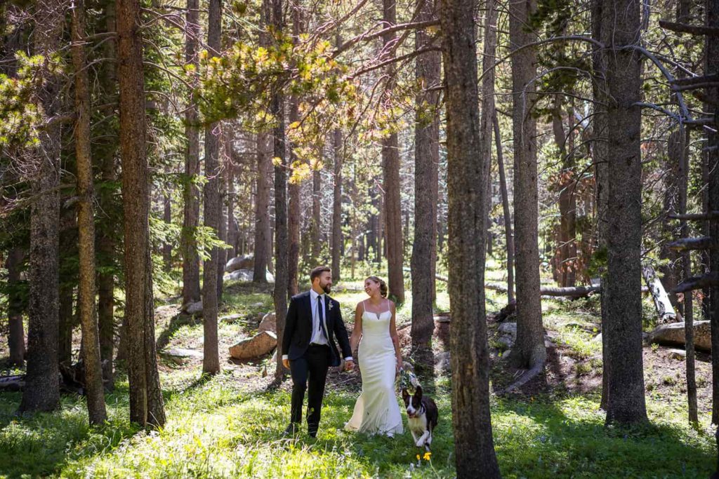 A couple in their wedding clothes run through a sun-filled forest with their dog during their elopement in Bighorn National Forest with Forever and Evergreens elopement photography.