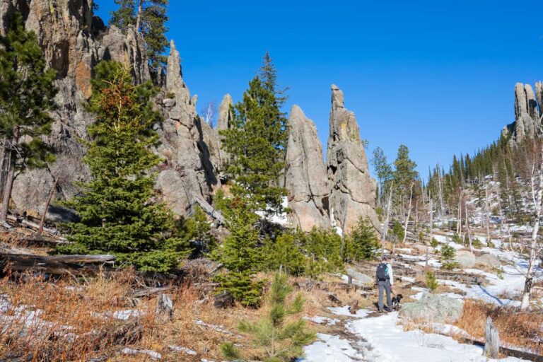 A man and his dog walk through the Needles area of Custer State Park in the Black Hills of South Dakota. Patches of snow on the ground indicate that it is early spring.