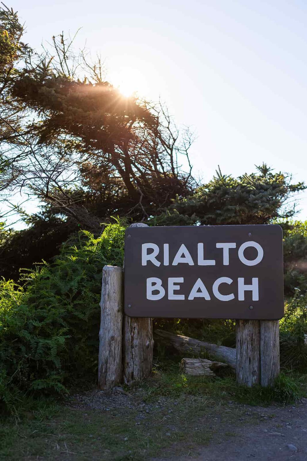 Rialto Beach Elopement Wedding Guide - Forever and Evergreens