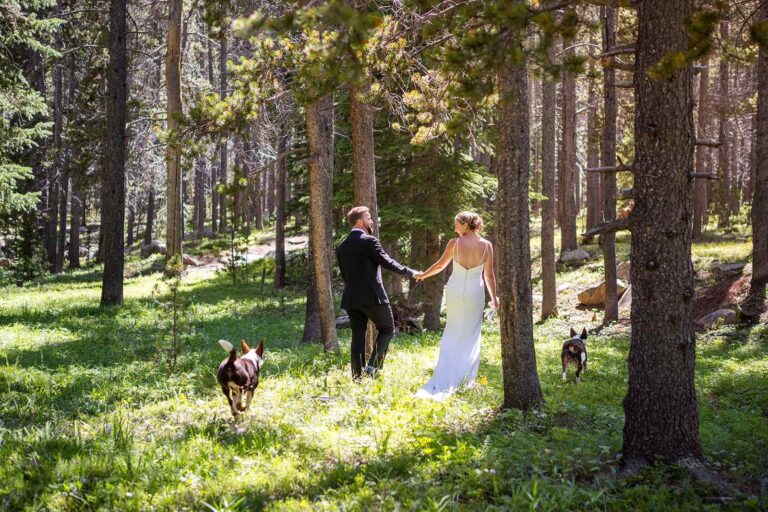 A couple in wedding clothes runs through a sunny forest with their two dogs during their Minnesota elopement with Minnesota elopement photographers Forever and Evergreens.