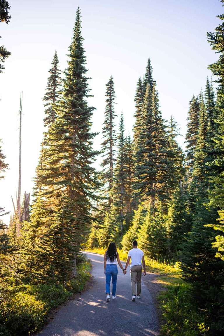 A man and woman hold hands as they walk along a trail through a pine forest.